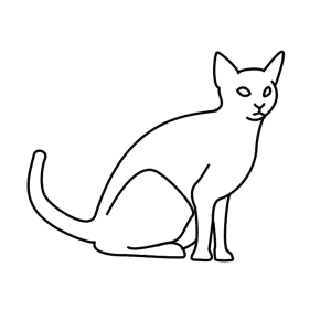 How to Draw A Cat - Step-by-Step Tutorial