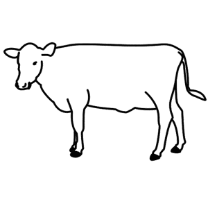 How to Draw A Cow - Step-by-Step Tutorial