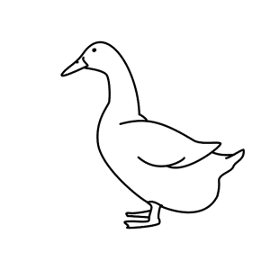 How to Draw A Duck - Step-by-Step Tutorial