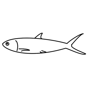 How to Draw A Fish - Step-by-Step Tutorial