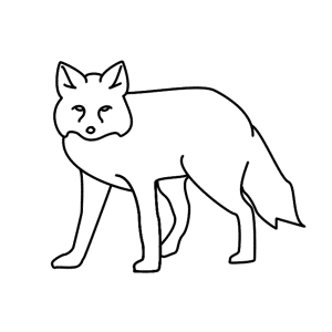 How to Draw A Fox - Step-by-Step Tutorial