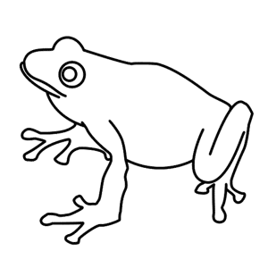 How to Draw A Frog - Step-by-Step Tutorial