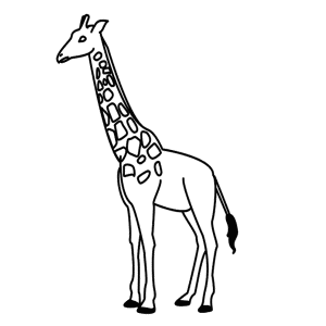 How to Draw A Giraffe - Step-by-Step Tutorial