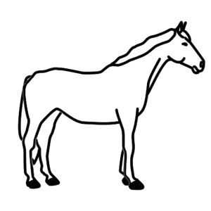 How to Draw A Horse - Step-by-Step Tutorial