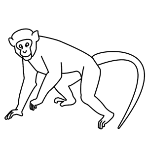 How to Draw A Monkey - Step-by-Step Tutorial