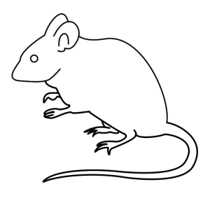 How to Draw A Mouse - Step-by-Step Tutorial