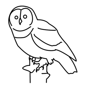 How to Draw An Owl - Step-by-Step Tutorial