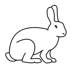 How to Draw A Rabbit - Step-by-Step Tutorial