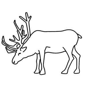 How to Draw A Reindeer - Step-by-Step Tutorial