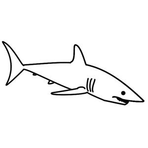 How to Draw A Shark - Step-by-Step Tutorial