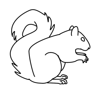 How to Draw A Squirrel - Step-by-Step Tutorial