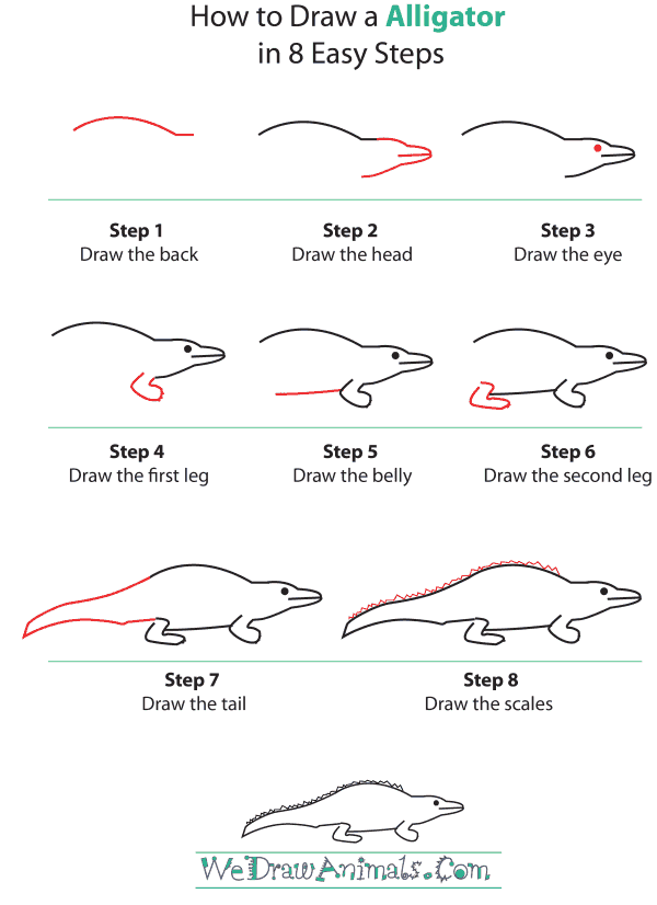 How To Draw An Alligator - Step-by-Step Tutorial