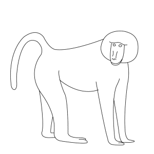 How To Draw A Baboon - Step-by-Step Tutorial