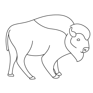 How To Draw A Bison - Step-by-Step Tutorial