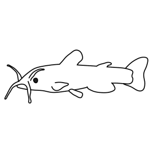 How To Draw A Catfish - Step-by-Step Tutorial