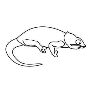 How To Draw A Chameleon - Step-by-Step Tutorial