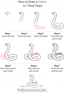 How to Draw a Cobra