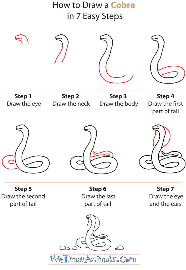 How To Draw A Cobra - Step-by-Step Tutorial
