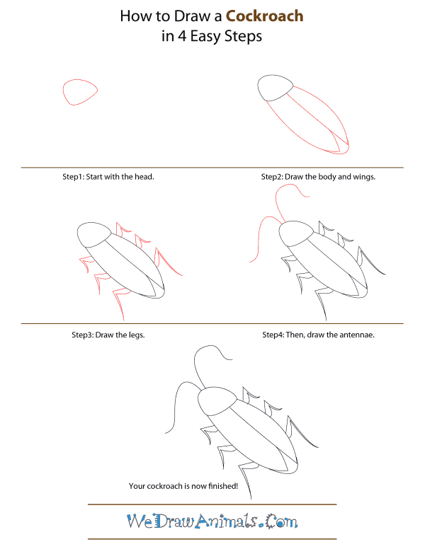 How To Draw A Cockroach - Step-by-Step Tutorial