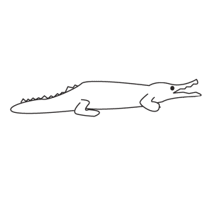 How To Draw A Crocodile - Step-by-Step Tutorial