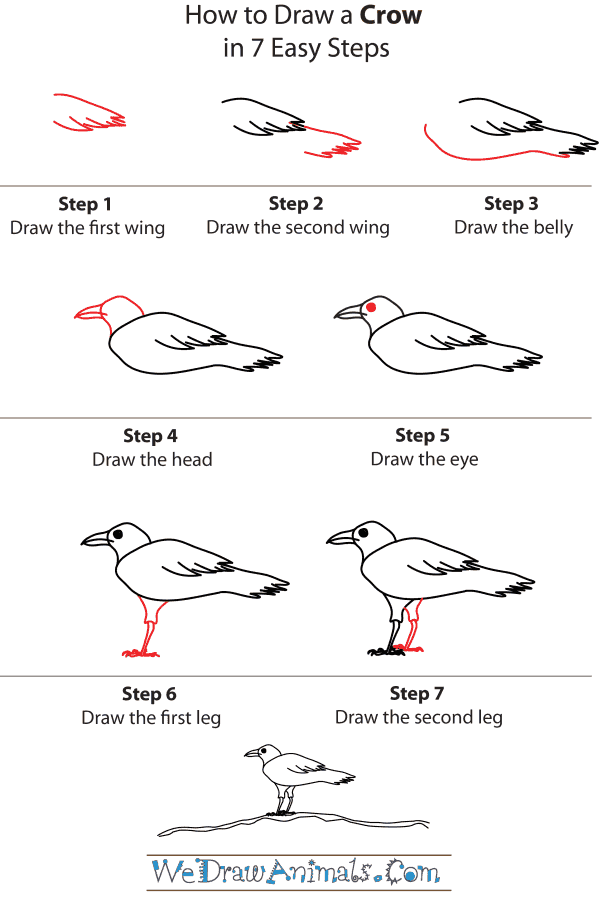 How To Draw A Crow - Step-by-Step Tutorial