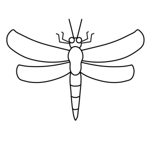 How To Draw A Dragonfly - Step-by-Step Tutorial