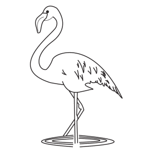 How To Draw A Flamingo - Step-by-Step Tutorial