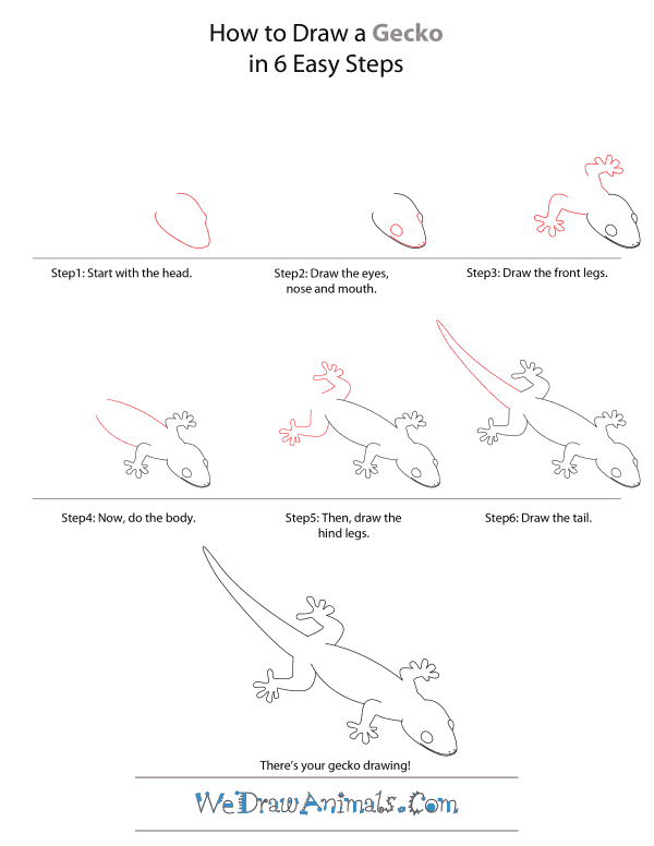 How To Draw A Gecko - Step-by-Step Tutorial