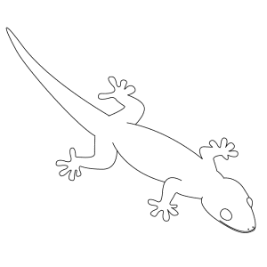 How To Draw A Gecko - Step-by-Step Tutorial