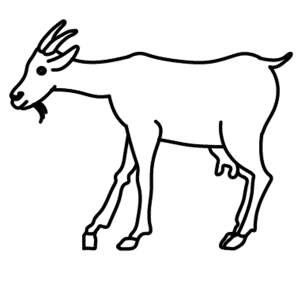 How To Draw A Goat - Step-by-Step Tutorial