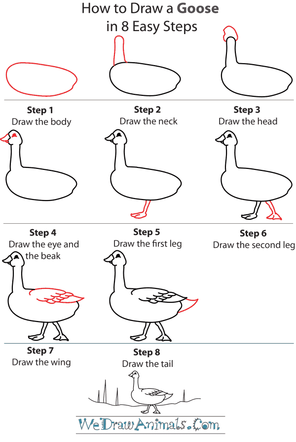 How To Draw A Goose - Step-by-Step Tutorial