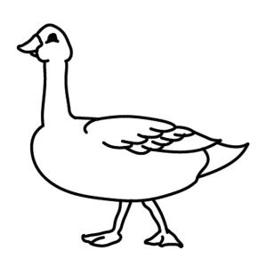 How To Draw A Goose - Step-by-Step Tutorial