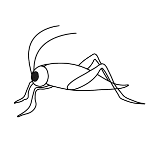 How To Draw A Grasshopper - Step-by-Step Tutorial