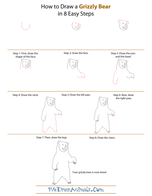 How To Draw A Grizzly-Bear - Step-by-Step Tutorial