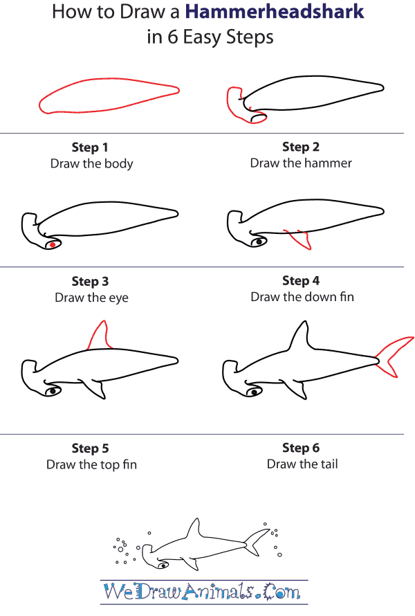 How To Draw A Hammerhead Shark - Step-by-Step Tutorial