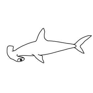 How To Draw A Hammerhead Shark - Step-by-Step Tutorial