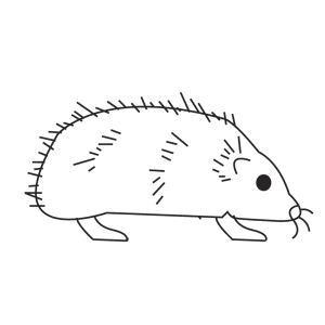 How To Draw A Hedgehog - Step-by-Step Tutorial