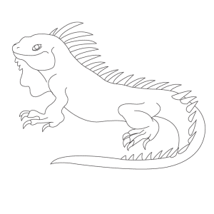 How To Draw A Iguana - Step-by-Step Tutorial