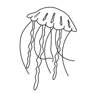 How To Draw A Jellyfish - Step-by-Step Tutorial