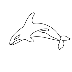 How To Draw A Killer-Whale - Step-by-Step Tutorial