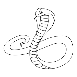 How To Draw A King-Cobra - Step-by-Step Tutorial