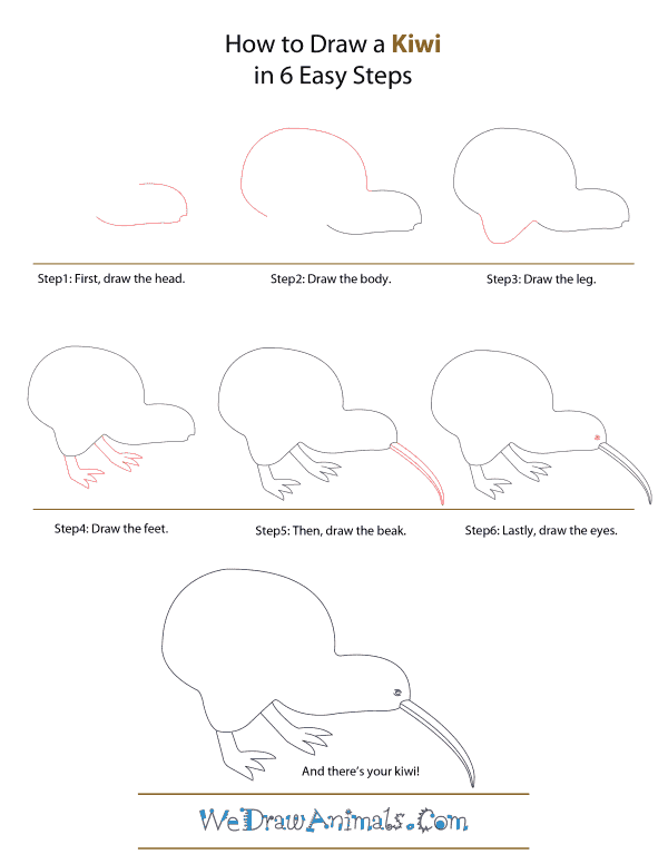 How To Draw A Kiwi - Step-by-Step Tutorial