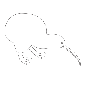 How To Draw A Kiwi - Step-by-Step Tutorial