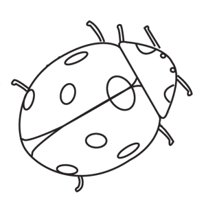 How To Draw A Ladybug - Step-by-Step Tutorial