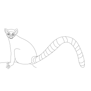 How To Draw A Lemur - Step-by-Step Tutorial