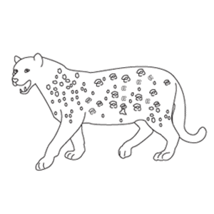 How To Draw A Leopard - Step-by-Step Tutorial