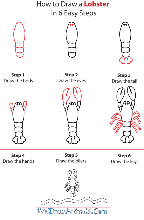 How To Draw A Lobster - Step-by-Step Tutorial