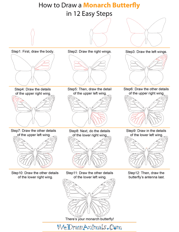 How To Draw A Monarch Butterfly - Step-by-Step Tutorial