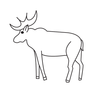 How To Draw A Moose - Step-by-Step Tutorial