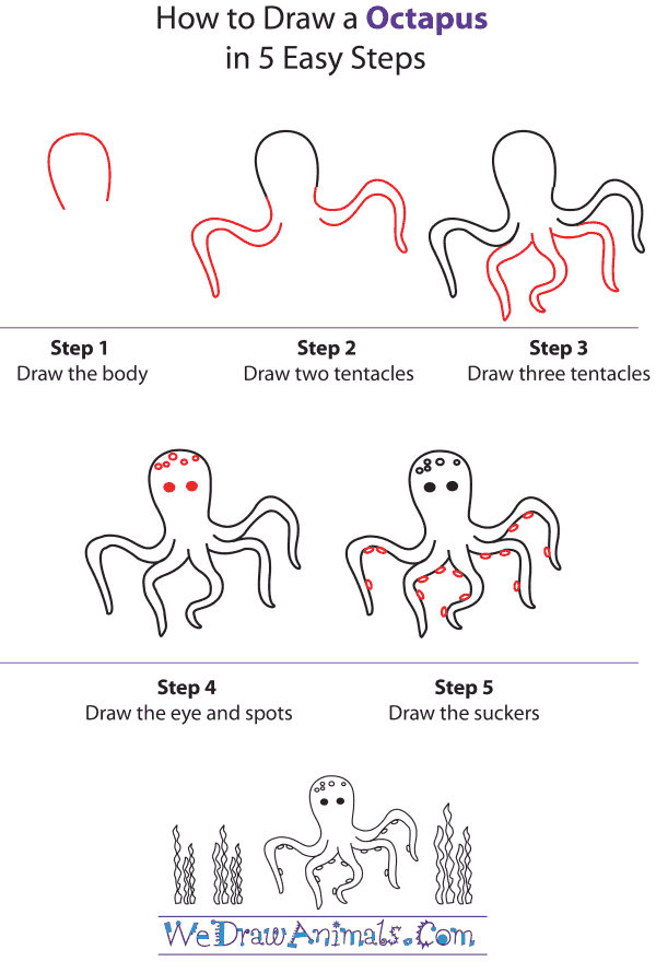How To Draw An Octopus - Step-by-Step Tutorial